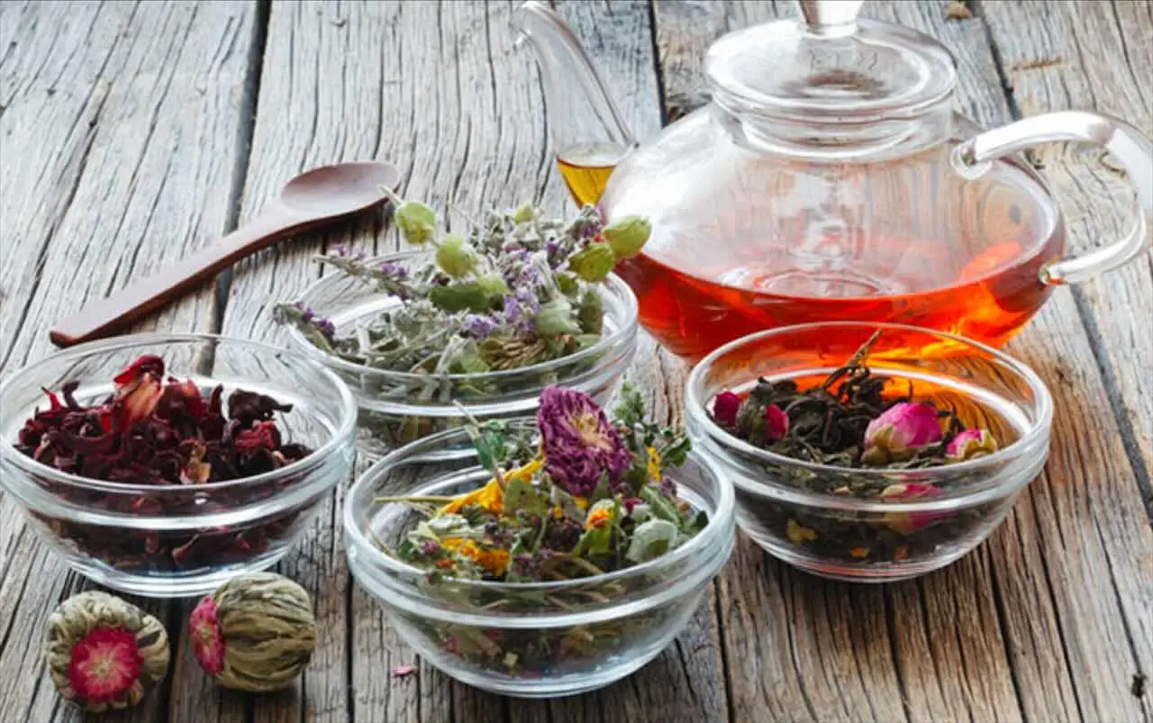 Scopri la tisana consigliata dai nutrizionisti per migliorare la memoria ogni giorno