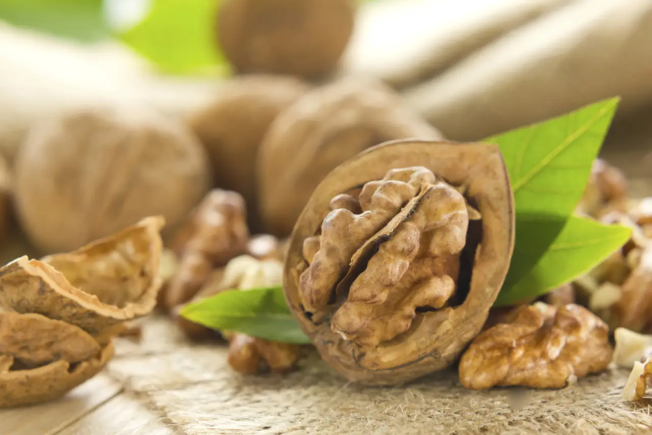 Aggiungere noci alla dieta quotidiana: benefici specifici per la salute cerebrale