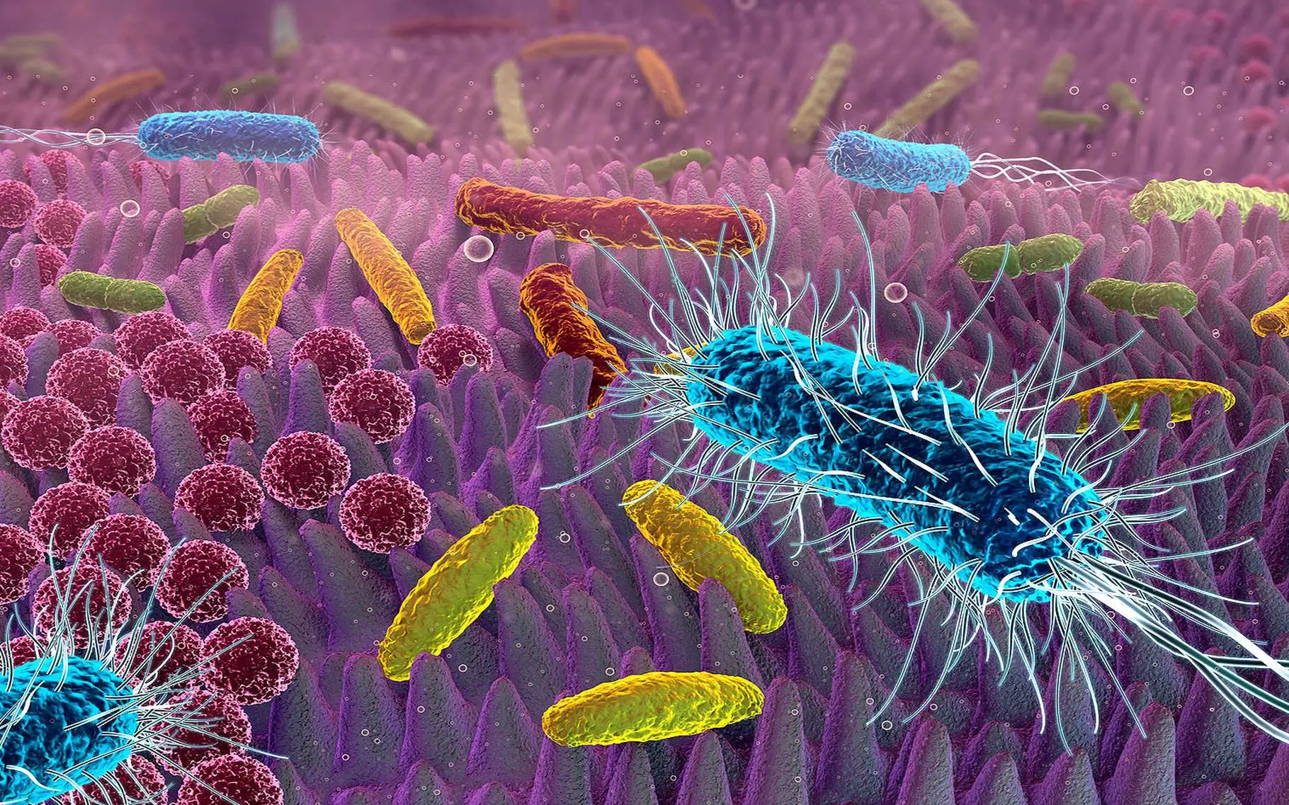 Oli essenziali e proprietà antibatteriche: come la natura può aiutare a combattere i batteri