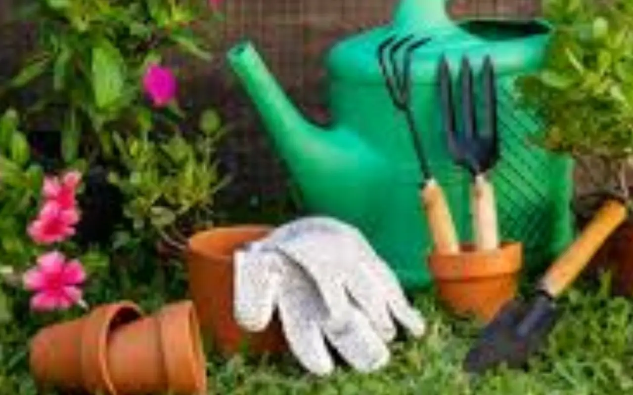 Giardinaggio: ecco le 3 regole base che tutti ignorano