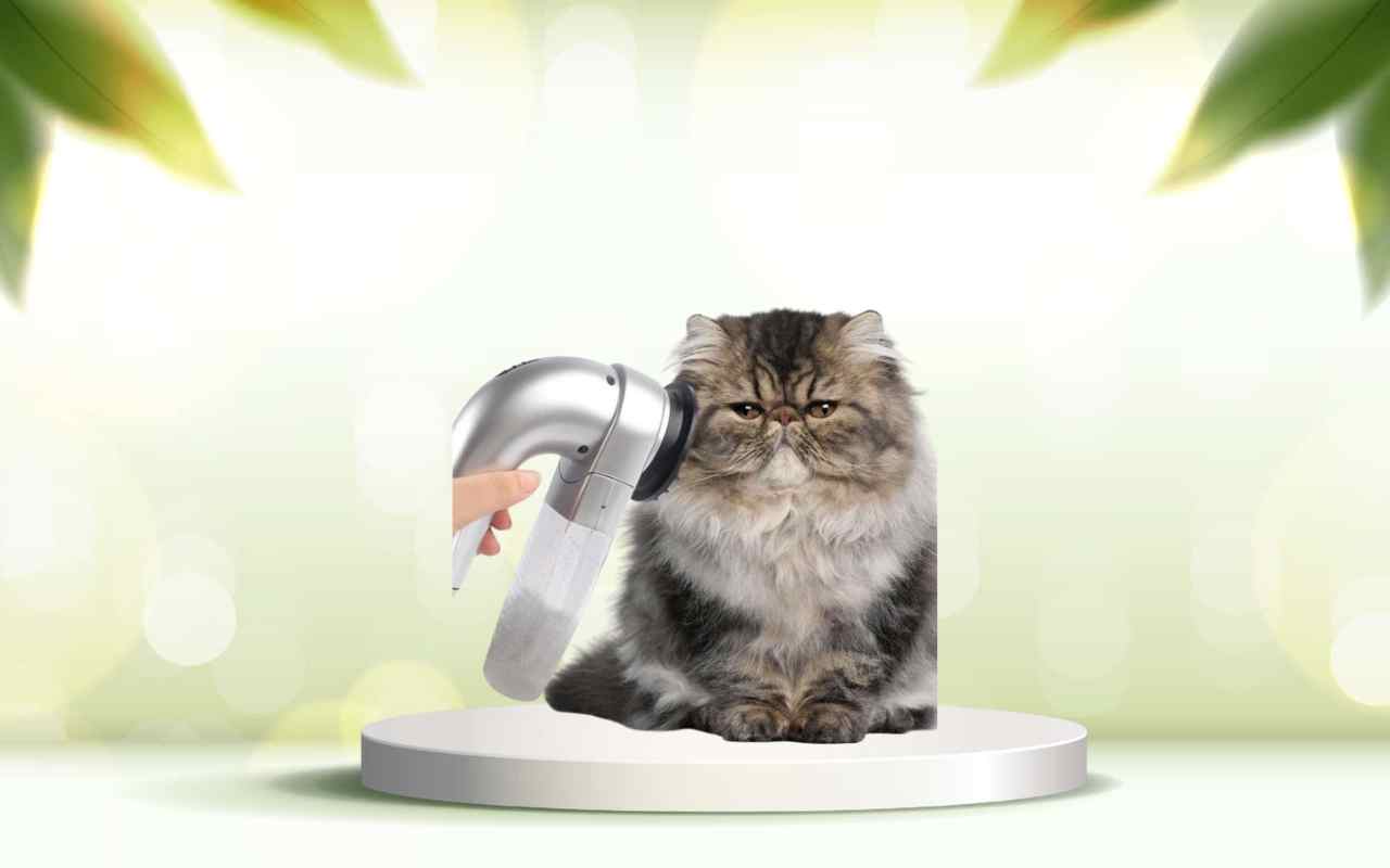 Scopri come eliminare i peli degli animali in casa con SpazzolAmica: provala ora